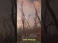 Туман над Харківщиною дихає війною українськамузика Music україна третяштурмова ЗСУ 3ОШБр