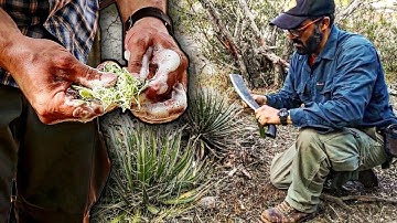 HOW TO Make Easy SURVIVAL Yucca SOAP In 5 Minutes!!!! - (PRIMITIVE SURVIVAL)