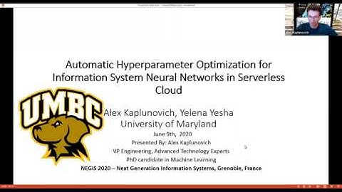 Automatic Hyperparameter Optimization for Information System Neural Networks in Serverless Cloud
