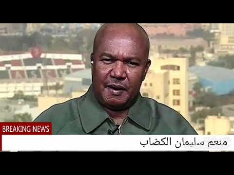 منعم سليمان يدافع عن الدعم السريع ويعتذر لهم
