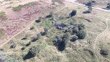 Litchi - DJI Phantom 3 Professionel - Orbit mode