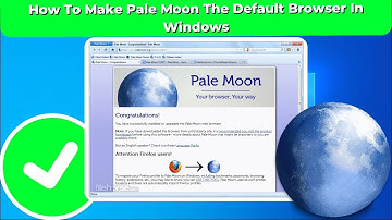 How To Make Pale Moon The Default Browser In Windows | 2024