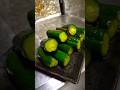【料理】おいしいきゅうりの1本漬け。#簡単料理 #shorts_ #shorts