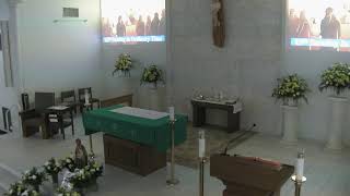 St. Patrick Catholic Church, Tampa, FL 13th Sunday of OT 6/28/26
