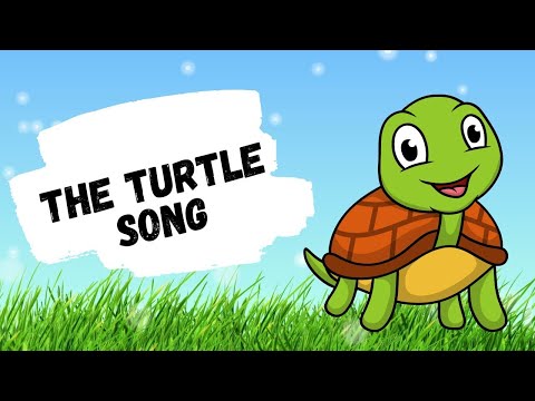 The Turtle Song | Tippy the Turtle | #viralvideo | #video | #viralsong | #BachpanFun2Learn