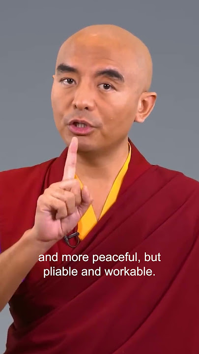 Give the monkey mind a job - Mingyur Rinpoche  #meditation #mentalhealth