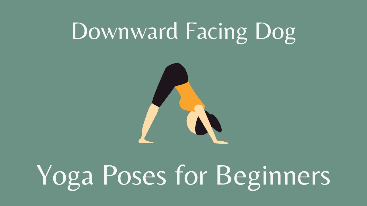 Downward Facing Dog Pose Yoga For Beginners Youtube