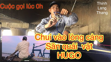 Câu tôm trong lòng cảng lên HUGO hạng nặng| Thính Lang Thang | shrimp fishing - crayfish fishing