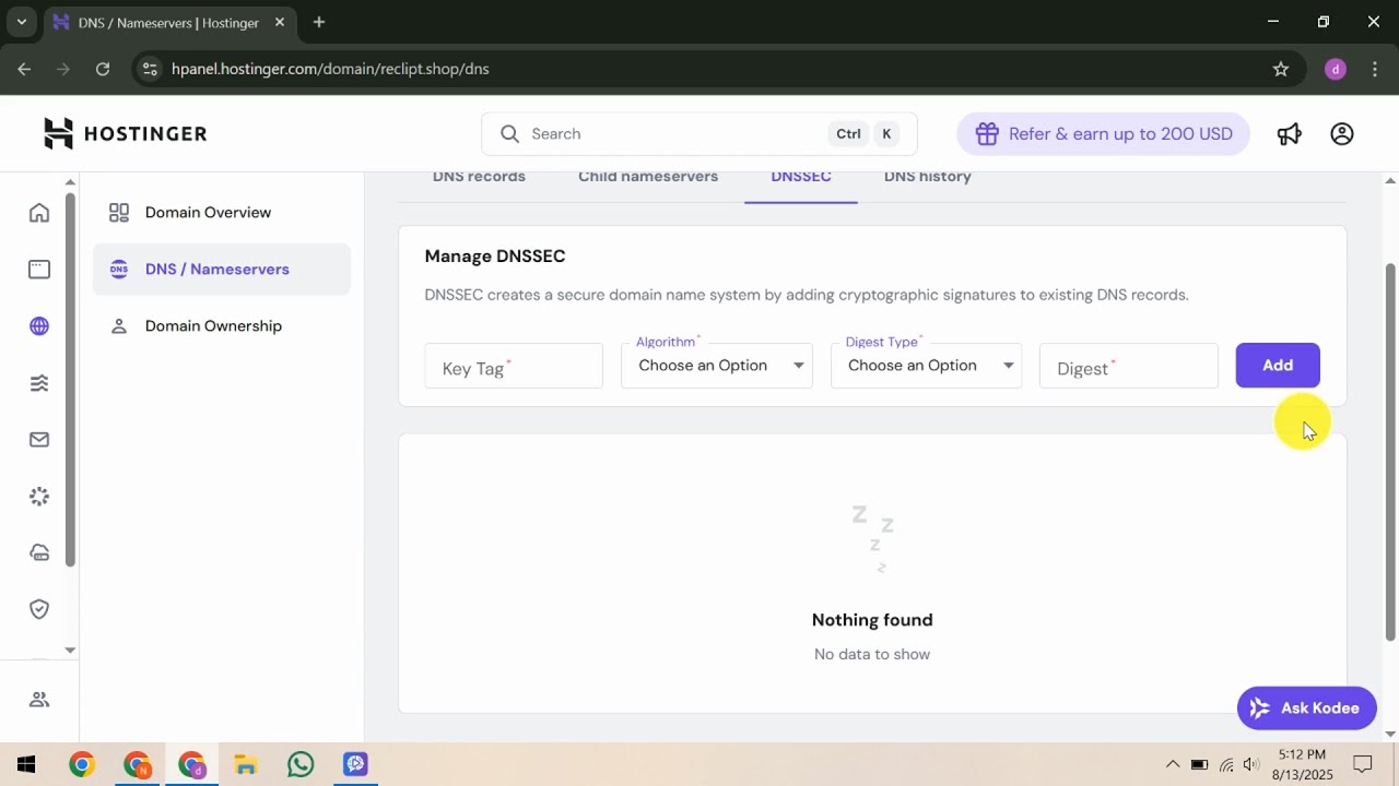 How To Check DNS Settings in Hostinger - YouTube