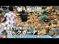 【個人庭訪問】レイズドベッドを駆使したドライガーデンのお庭‼︎