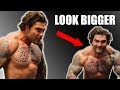 5 exercises to build BIGGER traps and neck | Look bigger (Guaranteed)