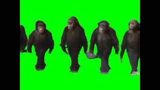 Monkey uuu aaa uuu aaa green screen. Profile