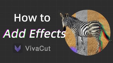 VivaCut Basic Tutorials | How to add Effects