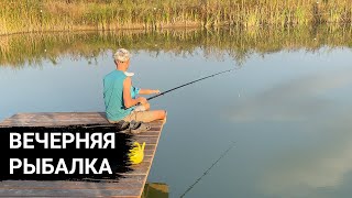 В конце лета повесил гамак 😀  Рыбалка на пруду в августе, переделали котел