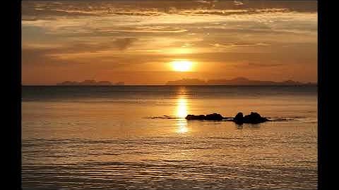 Stefan Biniak - The Read All About It Bootleg