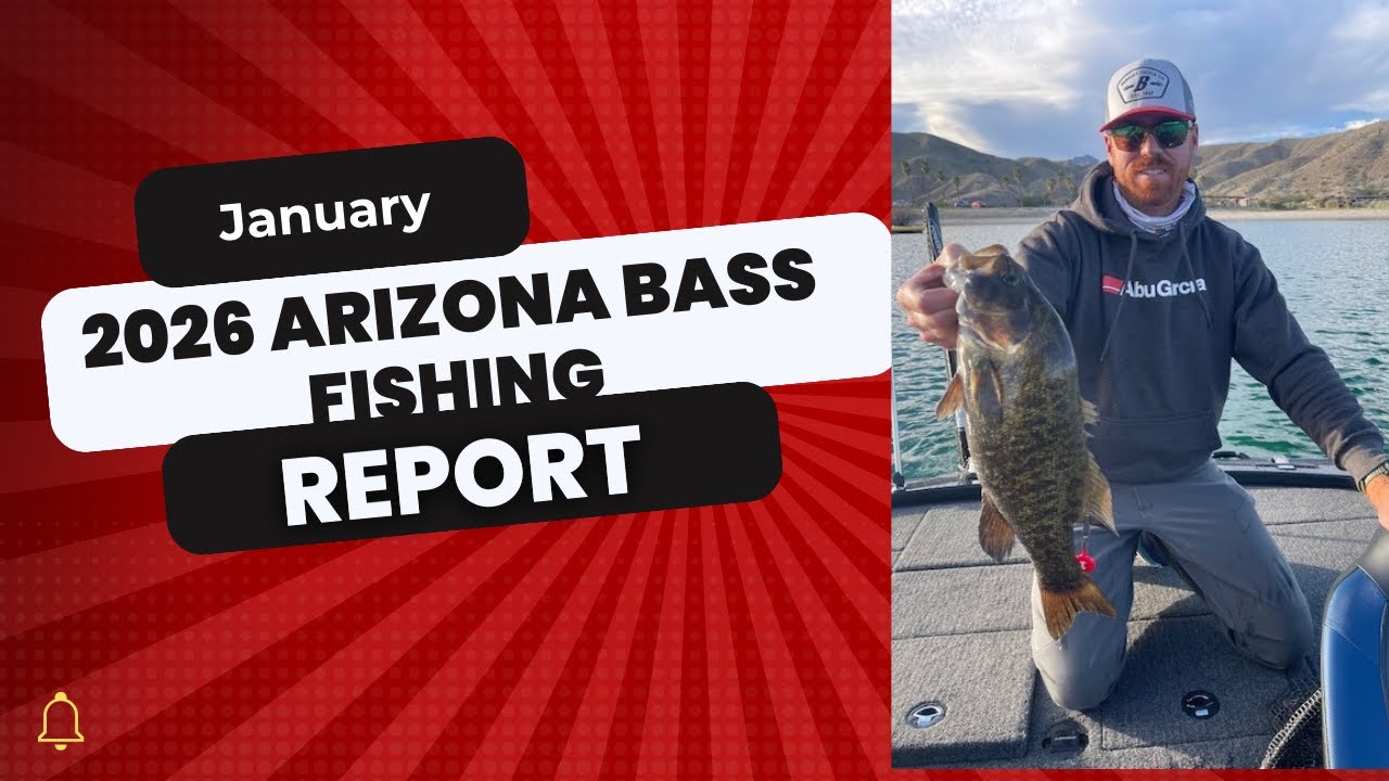 January 2026 Arizona Bass Fishing Report