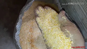 Como fazer ração para galinhas caipira?