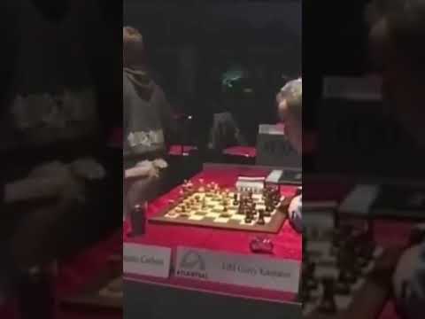 Стало скучно #шахматы