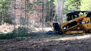 CAT299D2 SS Extreme Disc Mulcher - Advanced Forest Equipment