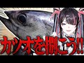巨大カツオ丸ごと1匹捌いてカツオのタタキを作ってみよう！！！【冥海らぶか/のりプロ】