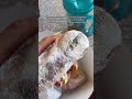 Universal Orlando Mini Vlog, Part 19: CABANA BAY LUNCH