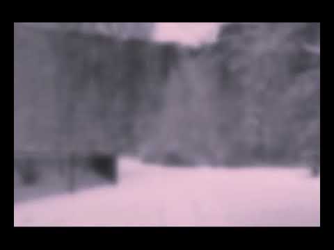 Glare - Blank (Slowed + Guts scream)