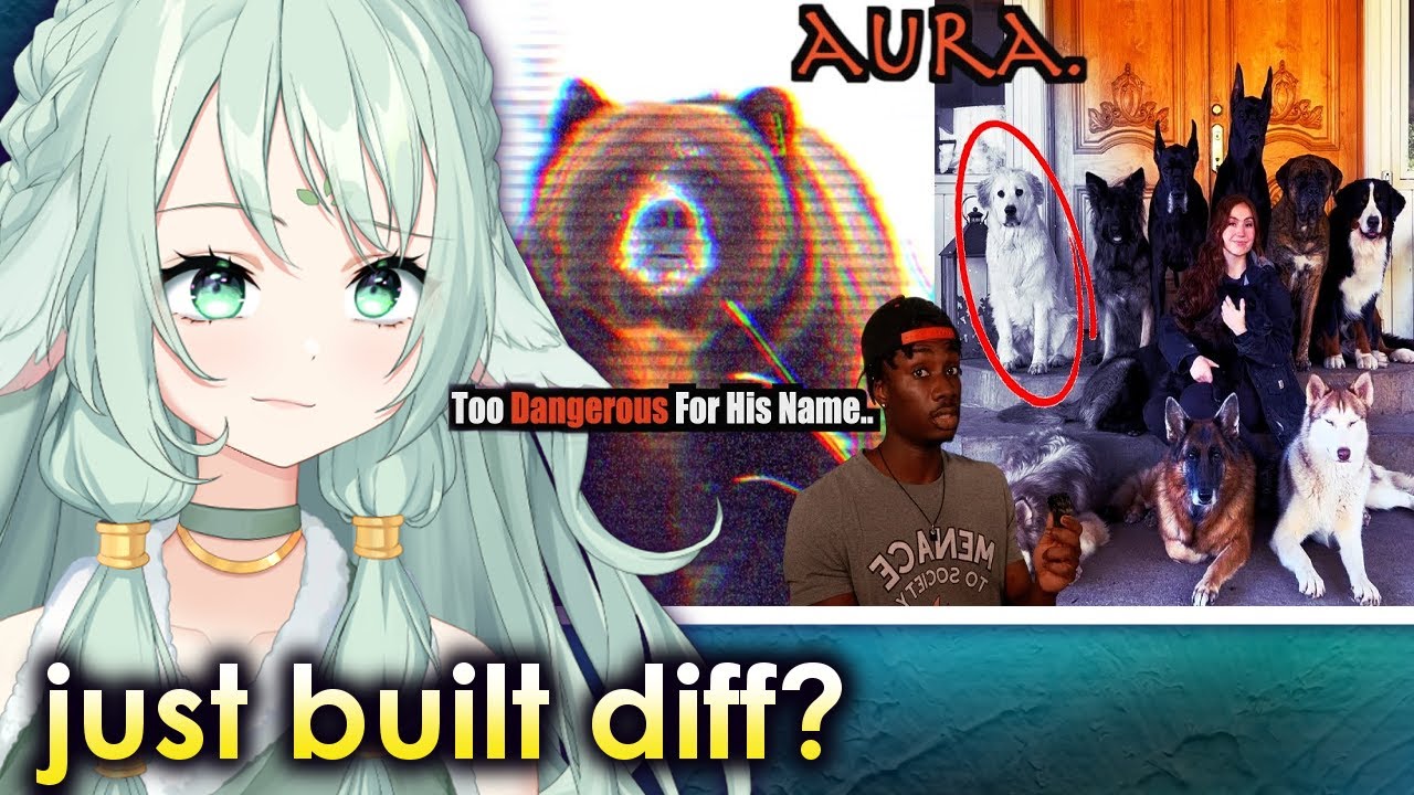 Лучшие моменты ауры на природе | Casual Geographic React