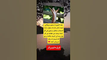 هذه الصوره لـ مصور بريطاني إسمه باتن مارت يقول رأيت السنجاب منفعل و يجري في كل إتجاه يبحث عن 