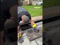 Kitten is rescued by firefighter #shorts #news #foxnews #fox #us #breaking #media