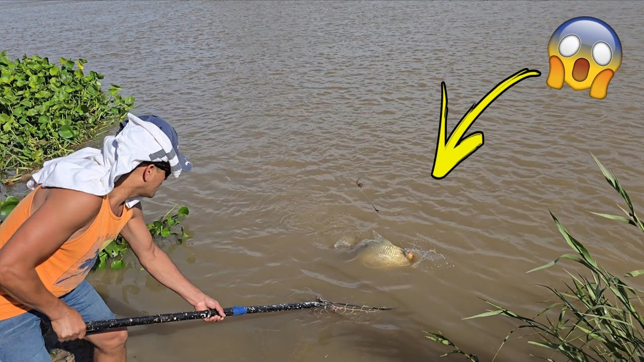 VIDEO DE PESCA en MAZARUCA , isla lechiguana 