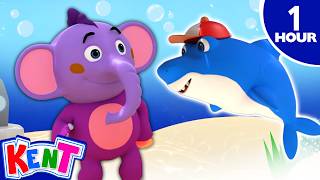 baby shark more popular nursery rhymes kent elephant kids