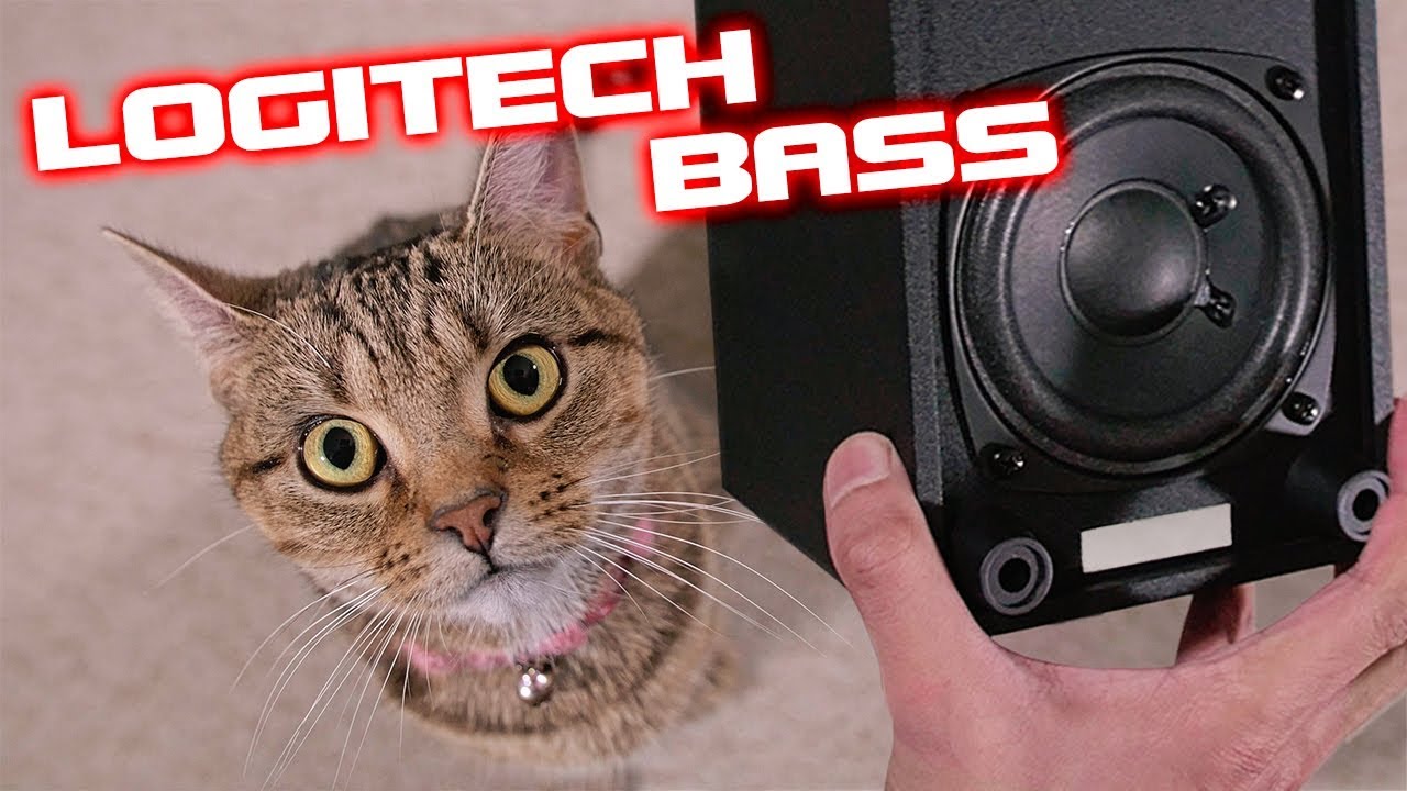 Budget Bass Logitech Z213 Speakers