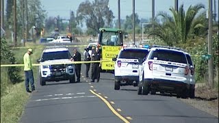 Body Found on Wellsford Road