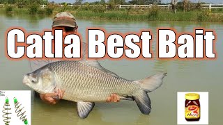 Catla easy bait|| catla feeder pop up fishing|| how to make easy catla bait