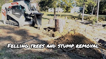 Removing giant stump with skid steer stump bucket