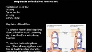 ARC 1014 A2 Part 2 2010.avi