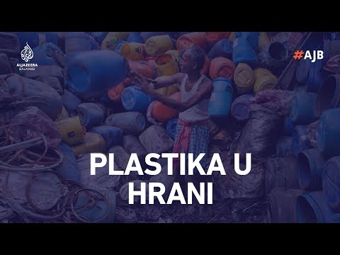 Video: U mesožderu u lancu ishrane?