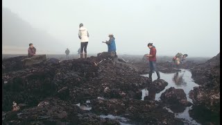 Visits turned virtual: Building California's coastal observatory | California Academy of Sciences