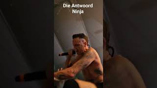 closest video to Ninja during crowdsurfing in Budapest 2024 #concert #dieantwoord #crowdsurfing