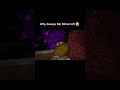 Why Always Me Minecraft 😭😭