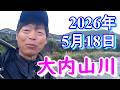 鮎釣り 背がかりDNA鮎を釣る 20㎝渇水垢ぐされぎみ おとべ 紀勢大橋上 岩船橋下 田垣外 大内山川 2026年