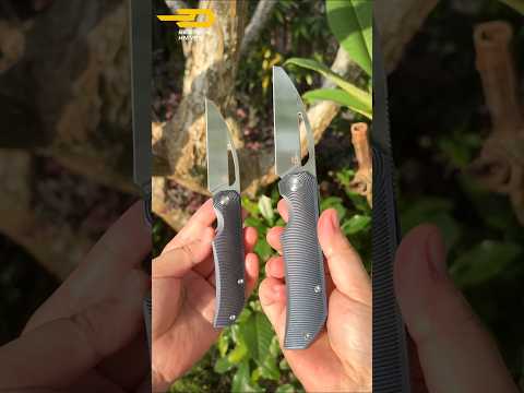 MINI TAIPAN vs TAIPAN: Which One Would You Get?     