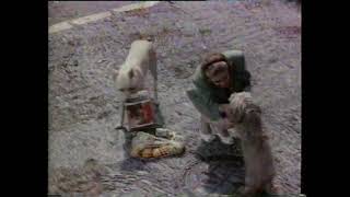 Frolic Dog Food Kibble Uk Tv 1980S Advert