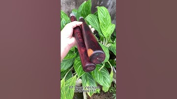 Côn nhị khúc gỗ trắc dây xích | Tuyển chọn côn nhị khúc chất lượng | 0767846777 | PT Sport Việt Nam