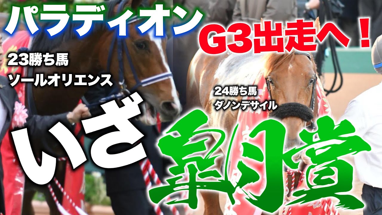 【一口馬主】出資馬のパラディオンがクラシック路線へ！皐月賞目指してあの出世G3へと歩みを進めます！