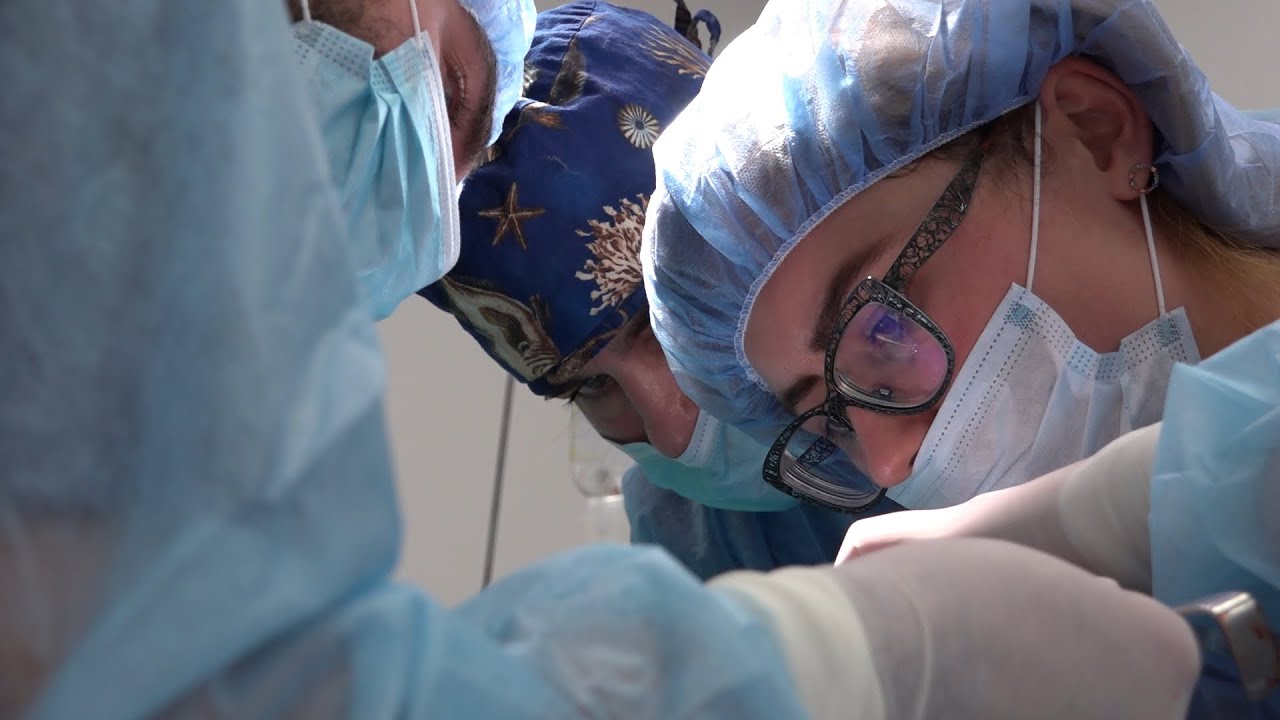 Practiculum Implantologii Sezon VIII B Sesja 6 zabieg 5