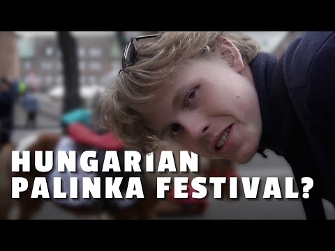 Video: Pálinka: aguardiente húngaro de frutas