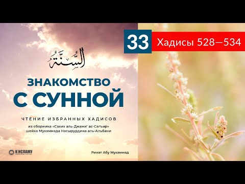 33. Чтение избранных хадисов. Хадисы 528—534 | Ринат Абу Мухаммад. Знакомство с Сунной
