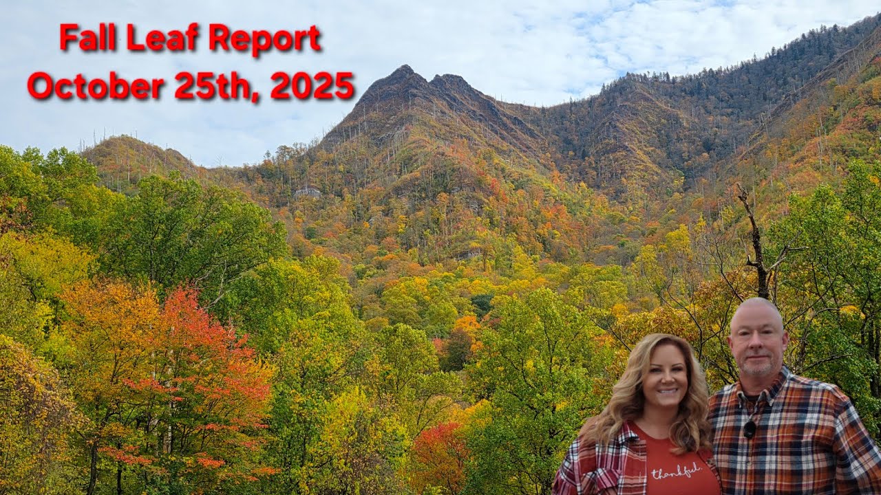 Отчёт об осенних листьях (водопады Соко и Минго, GSMNP) — 25.10.2025