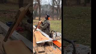 Cherry Crotch Slabs Sliced on my Logosol F2+ Chainsaw Mill! #chainsawmill #woodworking #wood